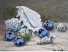 20111110甲斐と果物.jpg