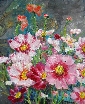20161113秋桜.jpg