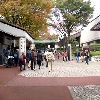 DSC00312.JPG