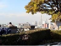 gaikoukan07.jpg