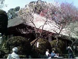 百草園.jpg