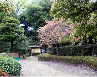 tonogayato03.jpg