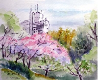 080421殿ヶ谷戸庭園02.jpg