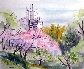 080421殿ヶ谷戸庭園02.jpg