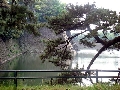 平川門03.JPG