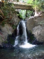 鳩ノ巣934.jpg