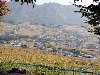 画像 001.jpg