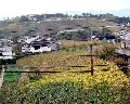 ぶどうが丘遠望01.jpg