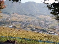 画像 001.jpg