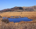 091028八島湿原001.jpg