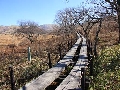 091028八島湿原003.jpg