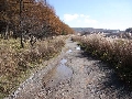 091028八島湿原007.jpg