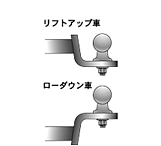 t}